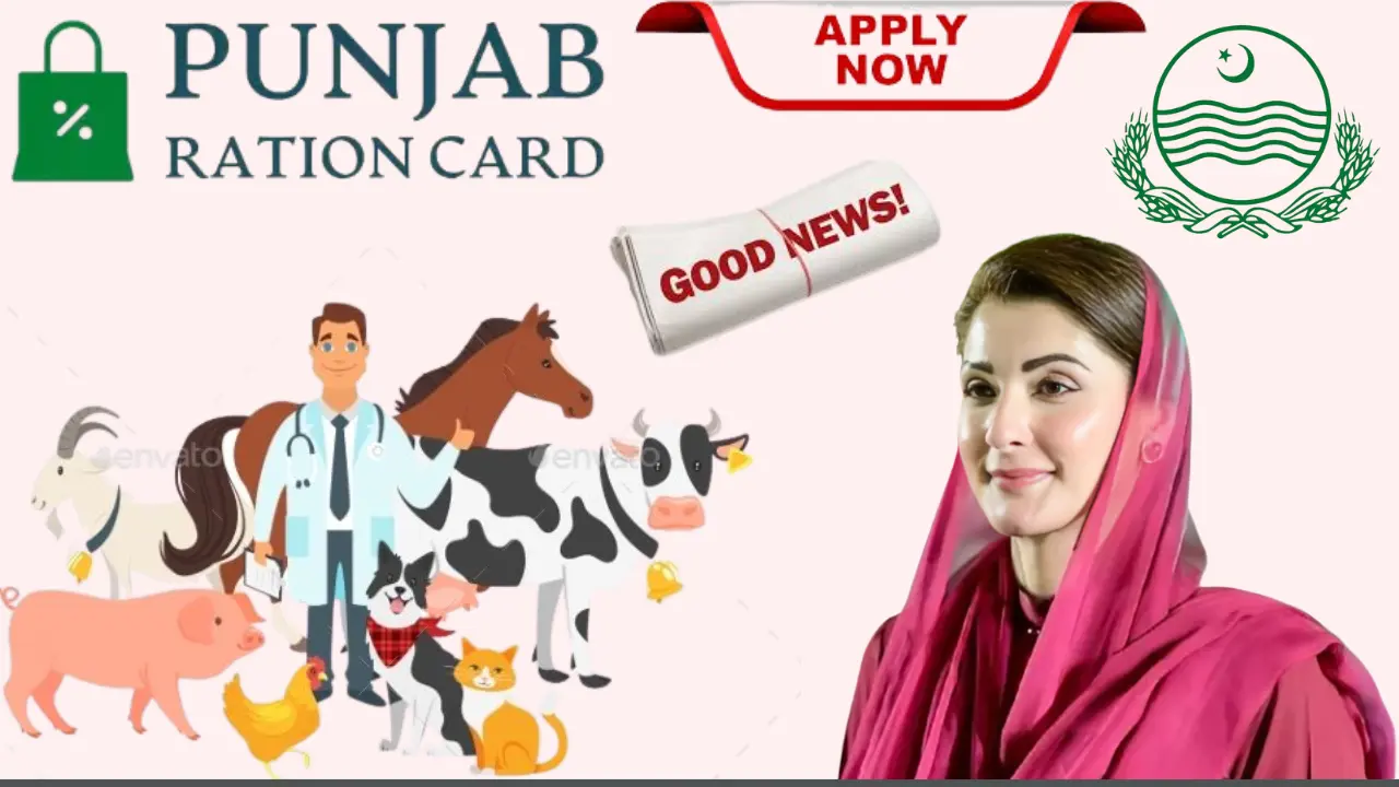 CM Maryam Nawaz Veterinary Intership Program 2025 – Stipend Details & Eligible Degrees Complete Guide