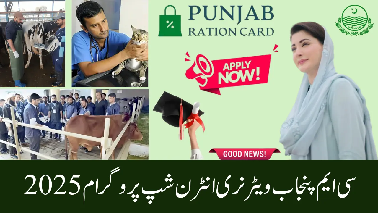 CM Punjab Veterinary Internship Program 2025 Stipend, Seats, Eligibility & Online Apply