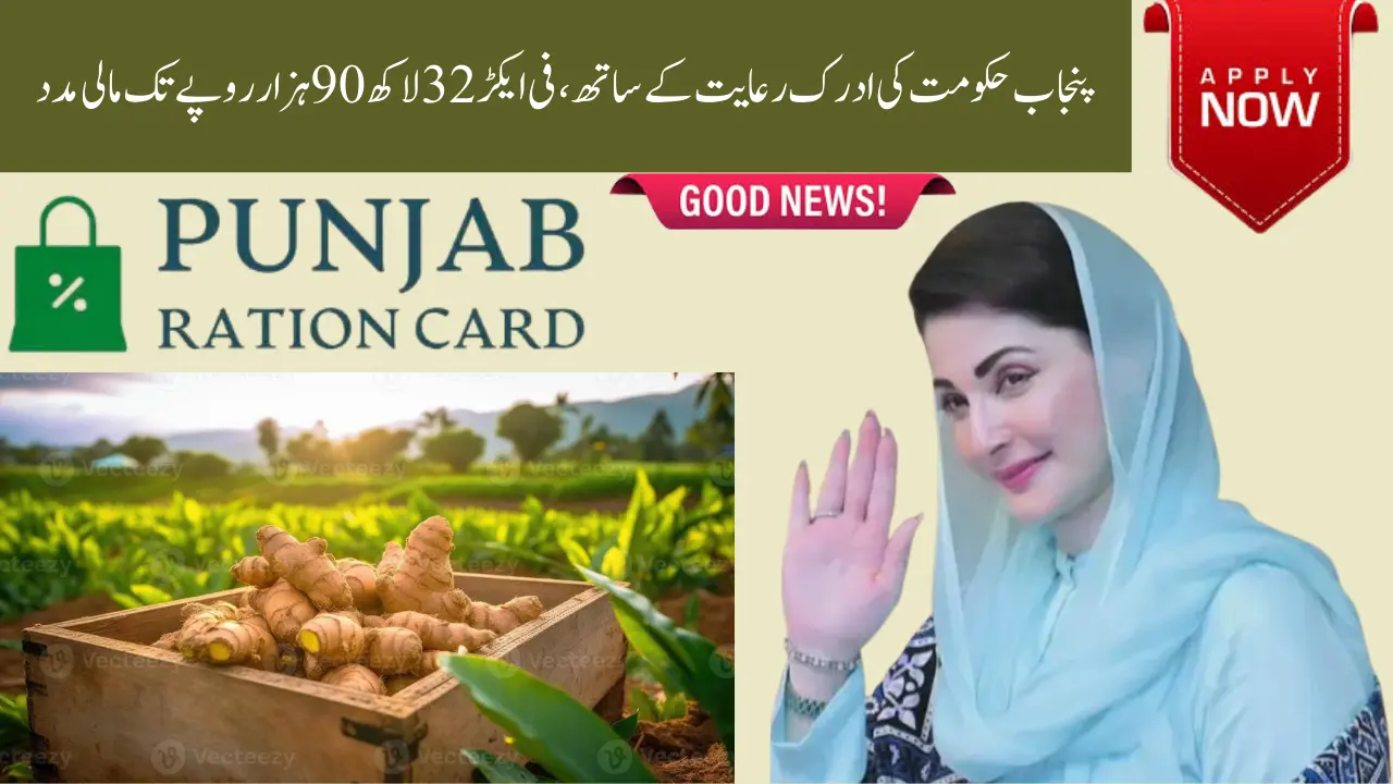 Patwar Agriculture Transformation Plan 2O25 – Complete District-wise Guide to Punjab Ginger Subsidy