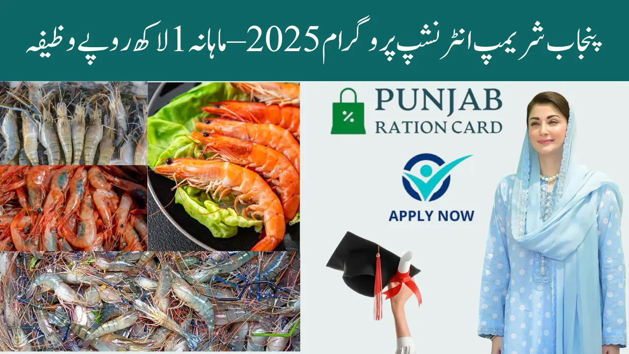 Punjab Shrimp Internship Program 2025 – Complete Guide, Eligibility, Stipend & Registration