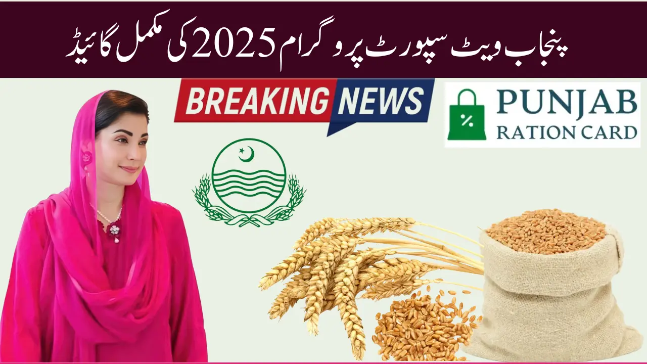 Punjab Wheat Support Program 2025 — Complete Guide for Small & Medium Farmers